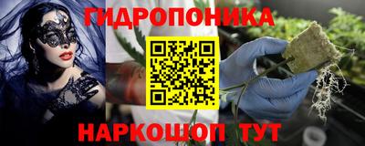 соль ск Обнинск
