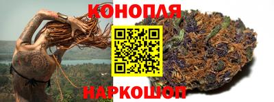 мдпв Обь