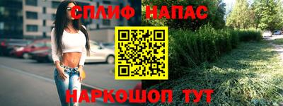 шишки Партизанск