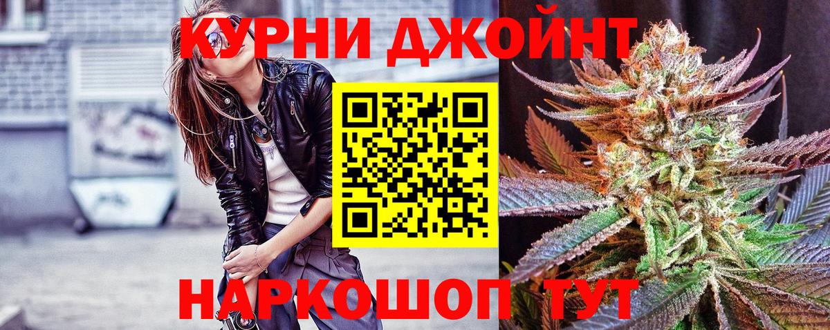Бошки Шишки планчик Отрадное
